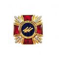 Нагрудный знак Collection Защитник родной земли 36 мм разноцветный (hub_0rywxy), фото 1