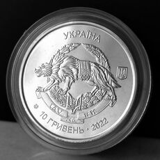 Монета Collection 10 гривен 2022 г Силы Специальных Операций ВСУ 30 мм Серебристый (hub_cl4mrc), купити в Україні, зображення 5