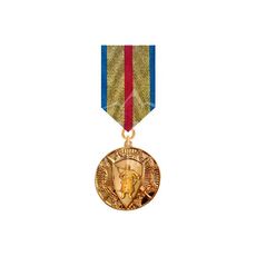 Награда Collection Защитнику Украины с козаком + бланк 35х3 мм Золотистый (hub_5nn18e), купити в Україні, зображення 2