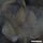 Мікроскоп National Geographic Stereo 20x (9119000), фото 10