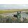 Бінокль Kowa SV II 10x32 WP (11903), фото 8