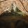Тент Highlander Basha Shelter HMTC (MA100-HC), фото 3