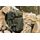 Рюкзак тактичний Highlander Recon Backpack 28L Olive (TT167-OG), фото 7