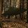 Тент Highlander XL Tarp Shelter HMTC (MA125-HC), фото 2