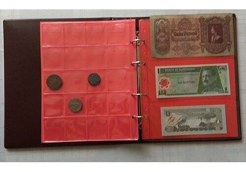 Альбом для монет и банкнот Elit наборной красные листы Коричневый (hub_kp2uce), фото 3