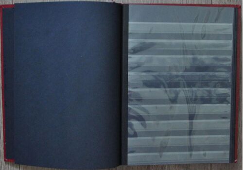 Альбом-кляссер для марок Lindner 32 страницы 16 листов А4 Синий (hub_9ew914), фото 4