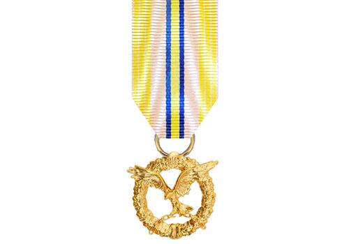 Медаль с удостоверением Collection За несокрушимость духа 34х40х2,5 мм Золотистый (hub_owcasf), фото 2