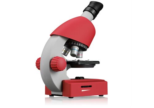 Мікроскоп Bresser Junior 40x-640x Red з набором для дослідів та адаптером для смартфона (8851300E8G000), фото 4