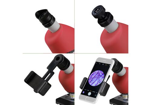 Мікроскоп Bresser Junior 40x-640x Red з набором для дослідів та адаптером для смартфона (8851300E8G000), фото 5
