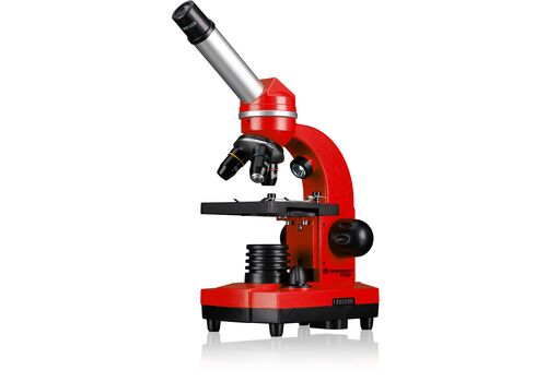 Мікроскоп Bresser Junior Biolux SEL 40x-1600x Red з адаптером для смартфона (8855600E8G000), фото 3
